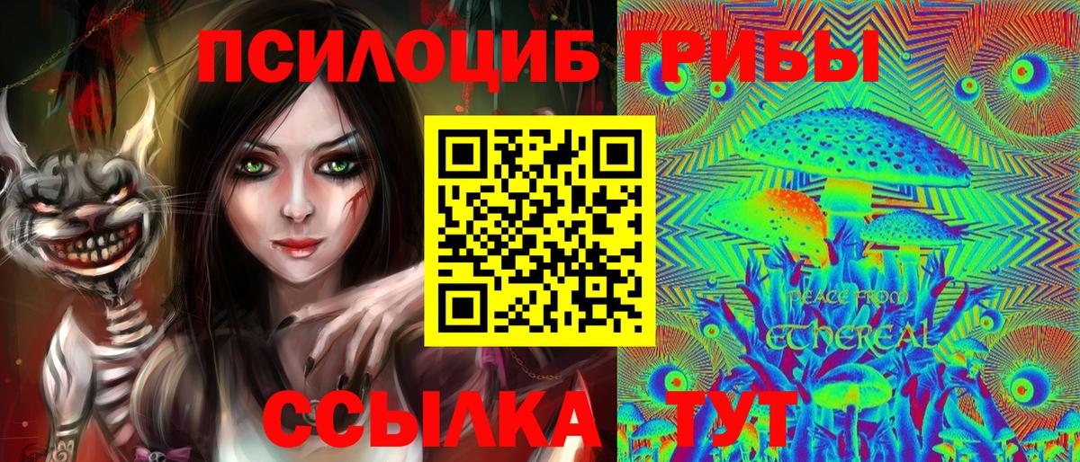Галлюциногенные грибы Magic Shrooms  Псилоцибиновые грибы Psilocybine cubensis  Вход с VPN  Астрахань 